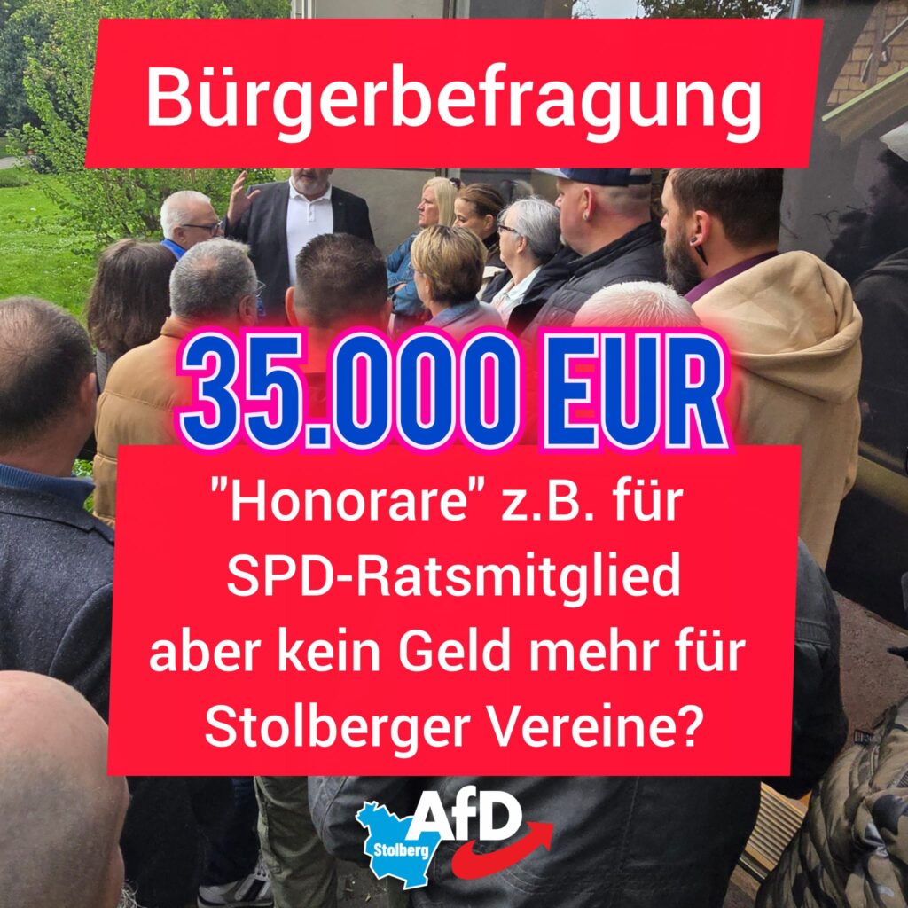 AfD Bürgerbefragung Honorare